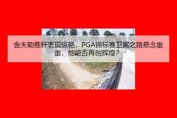 she-fu-lei-tui-gan-biao-xian-jing-yan-jin-biao-sai-wei-mian-zhi-lu-xuan-nian-chong-chong-ta-neng-fou-zai-chuang-hui-2-708.jpg